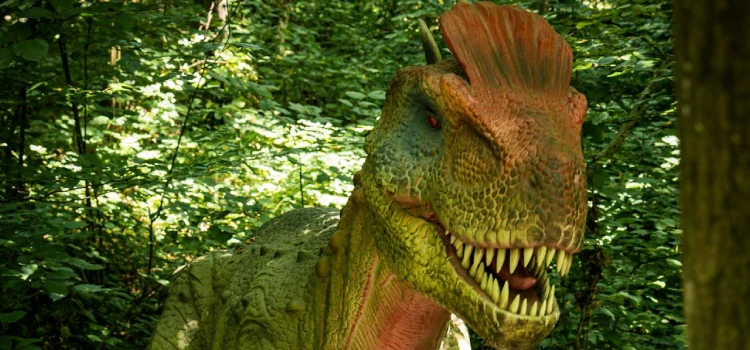 dinosaures animés