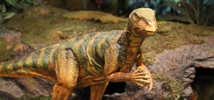 plus grand parc à dinosaures animés